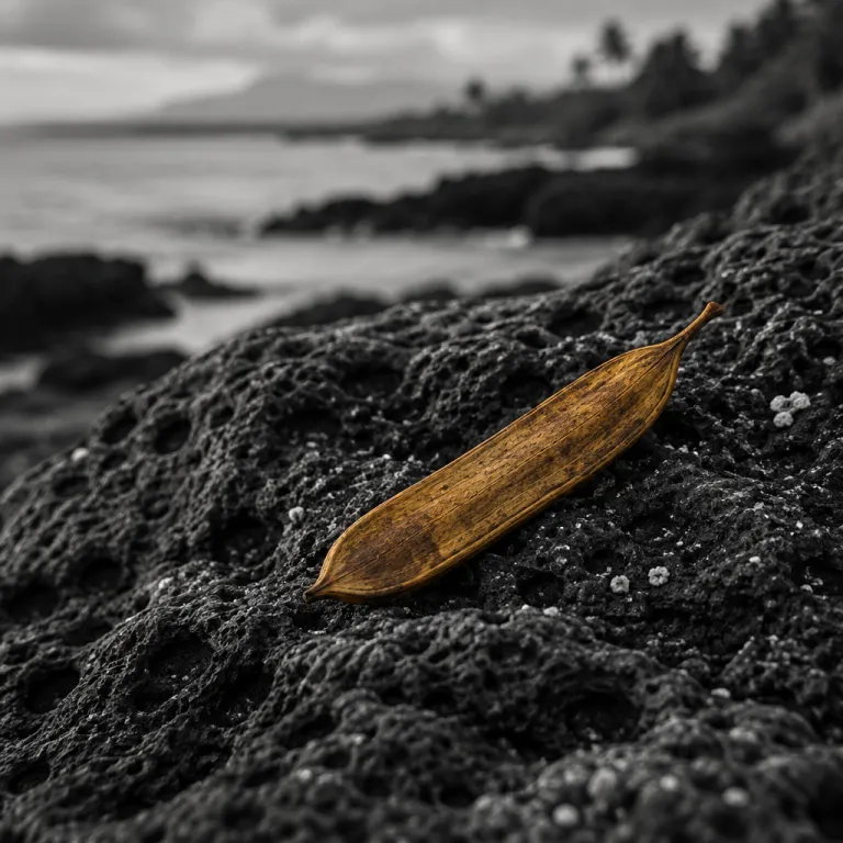 What Hawaii's Green Fee Actually Funds, and What It Means for Your Big Island Stay