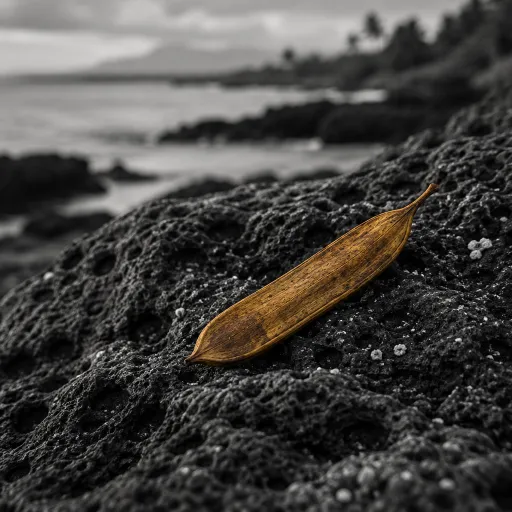 What Hawaii's Green Fee Actually Funds, and What It Means for Your Big Island Stay