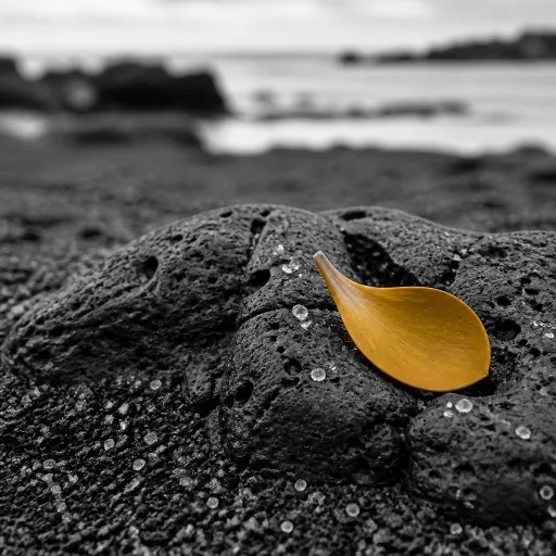Where to stay for the best beaches in Hawaii Big Island