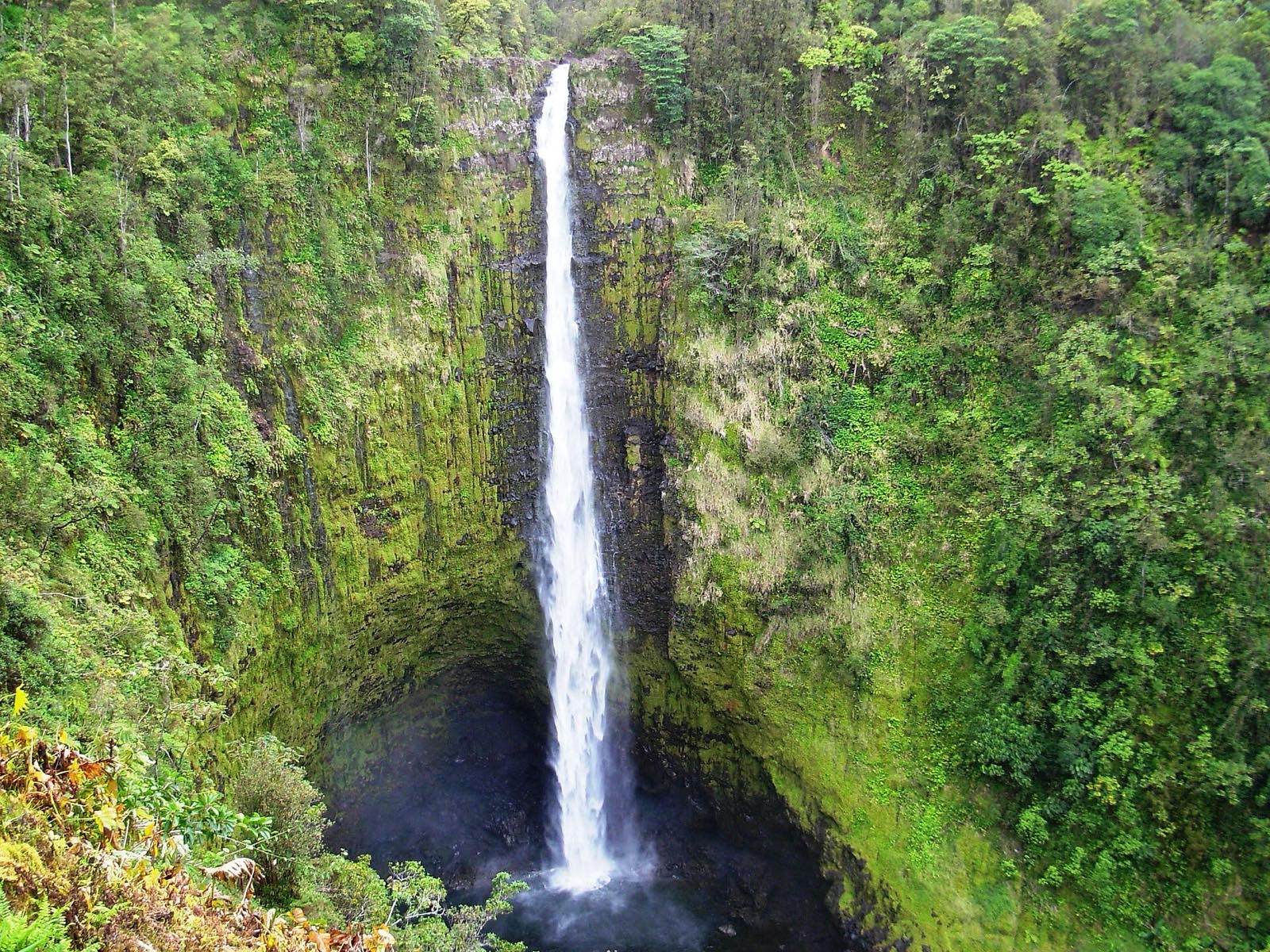 Akaka Falls dropping into a rainforest gorge on the Hamakua coast